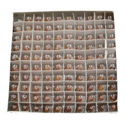 Ampoule Pour Feu Avant De Vélo 2,4 W 6 V - Par 100 7 Ampoule Pour Feu Avant De Vélo 2,4 W 6 V - Par 100 -Magasin De Vélos Zefal ampoule pour feu avant de velo 24 w 6 v par 100 2