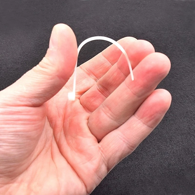 Silverline Collier De Serrage Nylon Noir Ou Blanc 100 X 2,5 Mm - Par 100 5 Silverline Collier De Serrage Nylon Noir Ou Blanc 100 X 2,5 Mm - Par 100 – Image 3