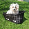 Panier Pour Petit Chien En Osier Sur Porte Bagages 1 Panier Pour Petit Chien En Osier Sur Porte Bagages -Magasin De Vélos Zefal panier pour petit chien en osier sur porte bagages