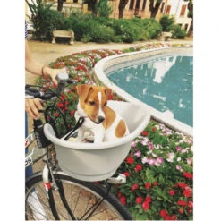 Bellelli Panier Vélo Avant Pour Transporter Un Animal De Compagnie -Magasin De Vélos Zefal panier velo avant pour transporter un animal de compagnie 2