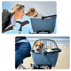 Panier Vélo Pour Chien Bleu Tendance Basil Buddy -Magasin De Vélos Zefal panier velo pour chien bleu tendance basil buddy 2