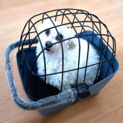 Panier Vélo Pour Chien Bleu Tendance Basil Buddy -Magasin De Vélos Zefal panier velo pour chien bleu tendance basil buddy 3