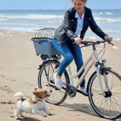 Panier Vélo Pour Chien Bleu Tendance Basil Buddy -Magasin De Vélos Zefal panier velo pour chien bleu tendance basil buddy 4